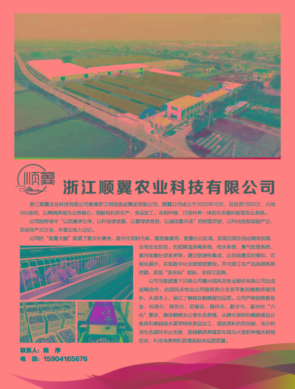 順翼宣傳廣告單_頁(yè)面_1
