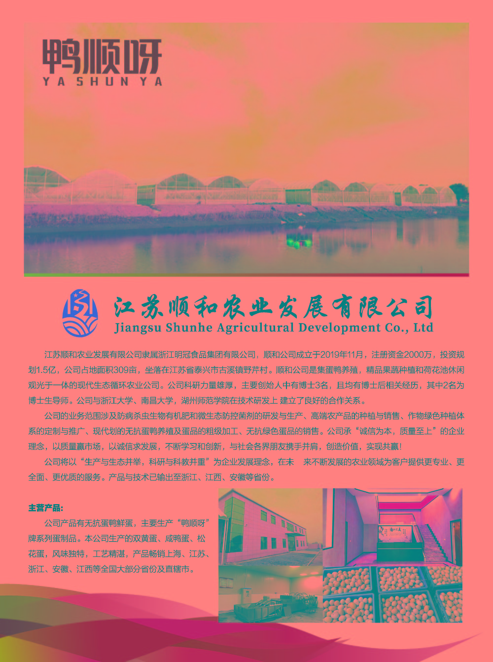 鴨順呀宣傳廣告單_頁(yè)面_1